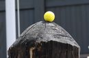 gal/Saison 2025/  8 Quellencup 31.05.2025 in Zurzach/_thb_IMG_5691.JPG